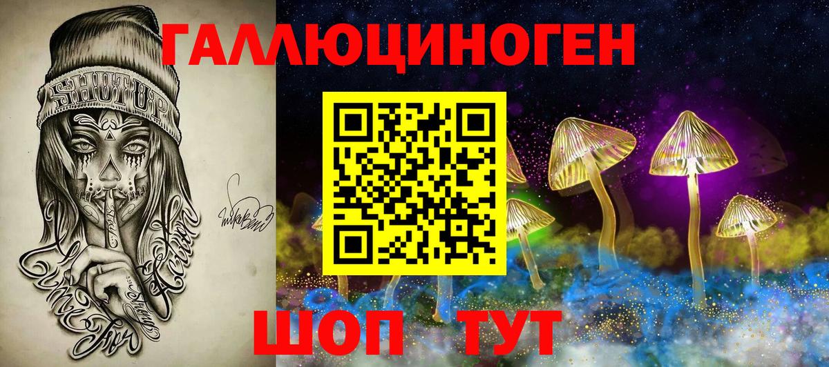 Псилоцибиновые грибы Psilocybine cubensis Дюртюли