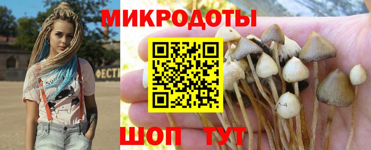 Галлюциногенные грибы Magic Shrooms  Вход с VPN  цены   Дюртюли 